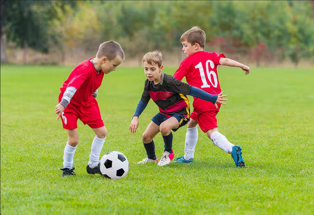 Screenshot-2024-07-29-at-15-10-36-Football-images